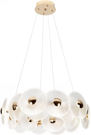 Подвесной светильник Rivoli Helena 6134-101 (LED, 220V, на тросе, круглые)