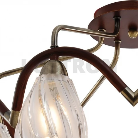 Потолочная люстра N-Light 407 407-06-53ABW antique brass + walnut
