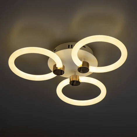 Потолочная люстра светодиодная с ДУ Ritter Ottimo 51611 2