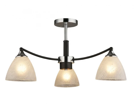 Потолочная люстра на штанге Мелодия Света SL1N 000026916