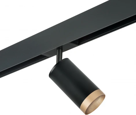 Трековый светильник однофазный 220V Lightstar Rullo PRO43740 (круглые)