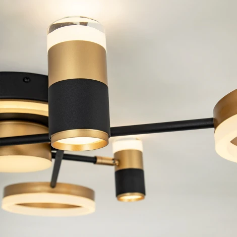 Потолочная люстра светодиодная с регулировкой цветовой температуры LED4U LED4U L3121-6