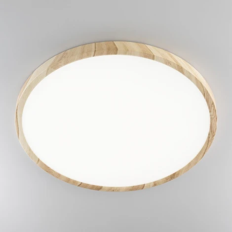 Настенно-потолочный светильник Citilux Бейсик CL738322V (регулировка яркости, LED, 220V, круглые, IP40)