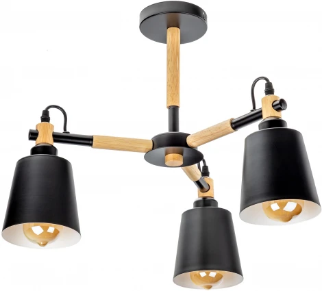 Потолочная люстра на штанге Ritter Volante 52447 2