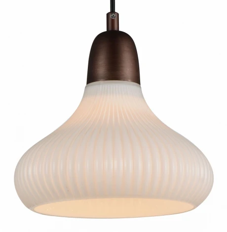 Подвесная люстра ST Luce Genio SL712.883.03