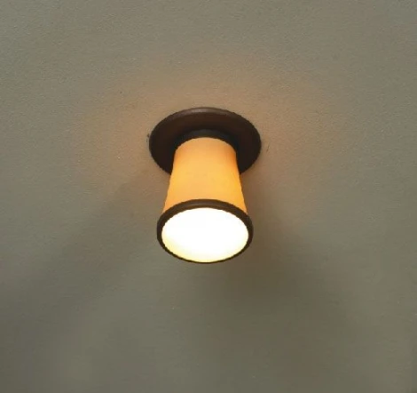 Потолочный светильник Lussole Fossombrone LSL-2300-01