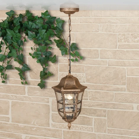 Уличный светильник подвесной Elektrostandard Dorado GL 1013H