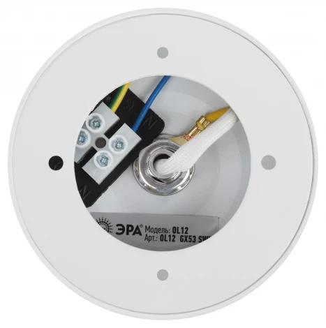 Спот ЭРА OL12 GX53 SWH OL12 GX53 SWH