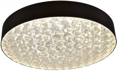 Настенно-потолочный светильник Мелодия Света CW1L 000024759