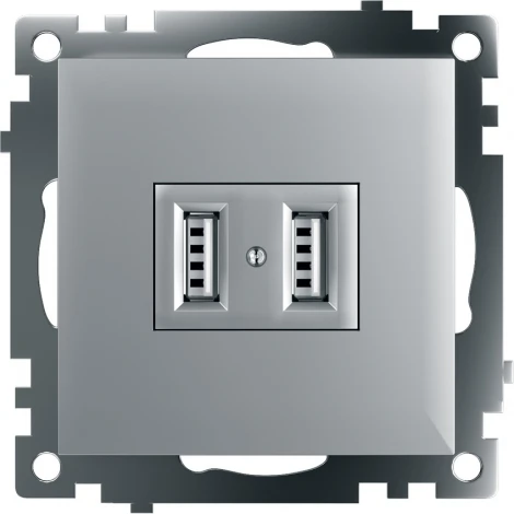 Розетка с USBх2 (серебро) Stekker Катрин 39588