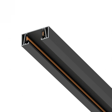 Шинопровод однофазный 2-контактный без стыковочного паза 3 метра 220V Lightstar Barra 502038-P