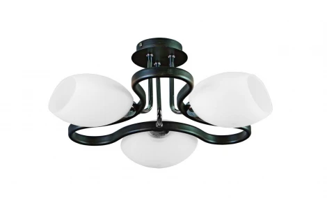 Потолочная люстра Omnilux Verona OML-26907-03