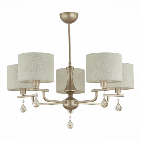 Потолочная люстра Evoluce Elida SLE107703-05