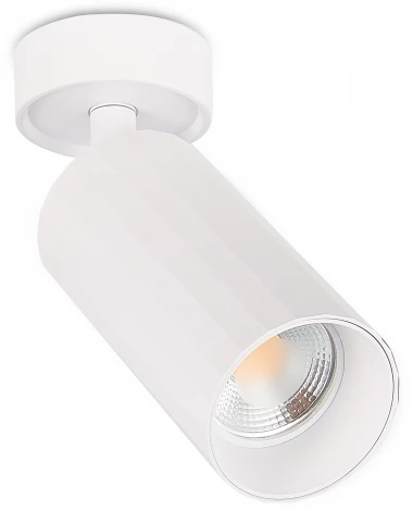 Спот Simple Story 2064 2064-1CLW (220V, круглые)