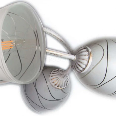 Люстра потолочная Day&Night, 5 плафонов, белый с золотом