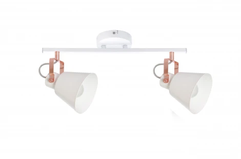 Спот J-Light Teo 1232/2A