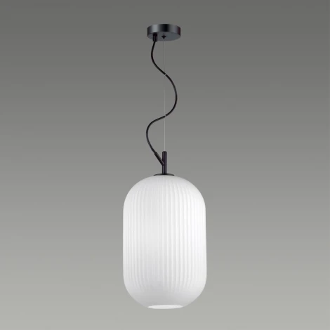 Подвесной светильник Odeon Light Roofi 4752/1 (220V, на тросе)