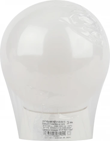 Настенно-потолочный светильник ЭРА НБП 01-60-004 (220V, шар)