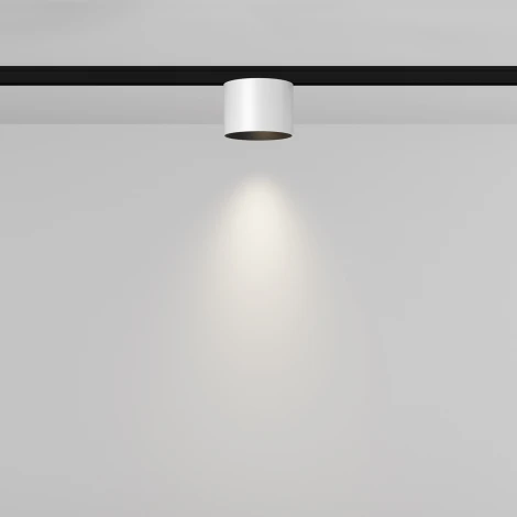 Трековый светильник магнитный 5W 24V Maytoni Alfa S TR188-1-5W4K-M-BW (LED, круглые)