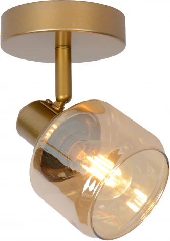 Спот Bjorn 77979/01/02 (220V)