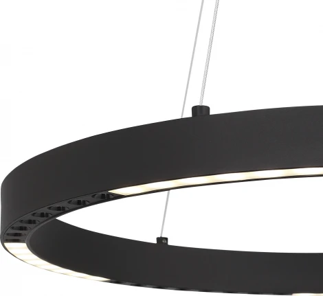 Подвесной светильник ST Luce SL6238 SL6238.423.01 черный/черный LED 1*25W 4000K (220V, на тросе)