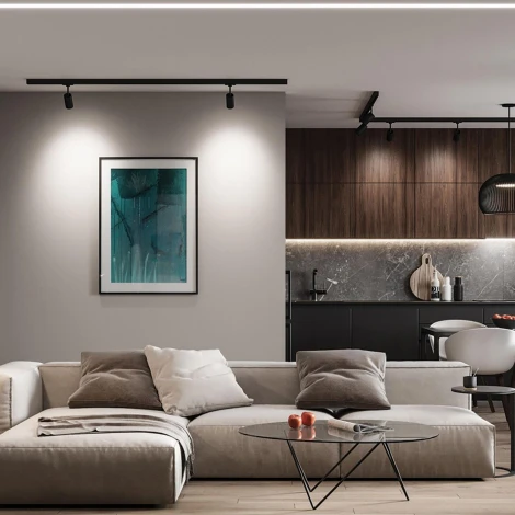 Трековый светодиодный светильник трехфазный 40W 220V Feron AL103 51006 (круглые, IP40)