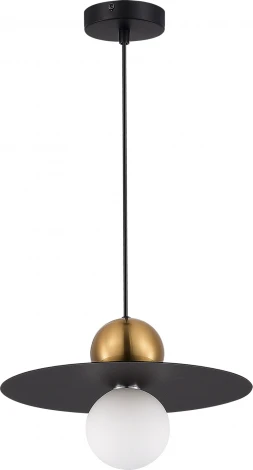 Подвесной светильник Evoluce Rizz SLE1257-433-01 Черный/Черный, Бронзовый G9 1*5W 4000K