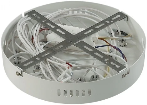 Потолочная люстра Lumion Alberta 8029/80CL белый/белый, металл/акрил с ПДУ LED 80W 3000-6000К 220V (круглые)