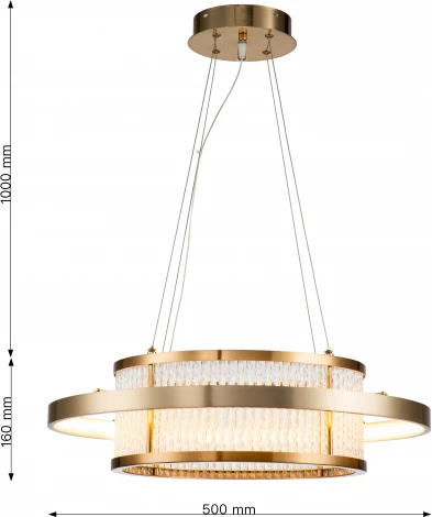 Подвесная люстра Favourite Arena 2995-5P