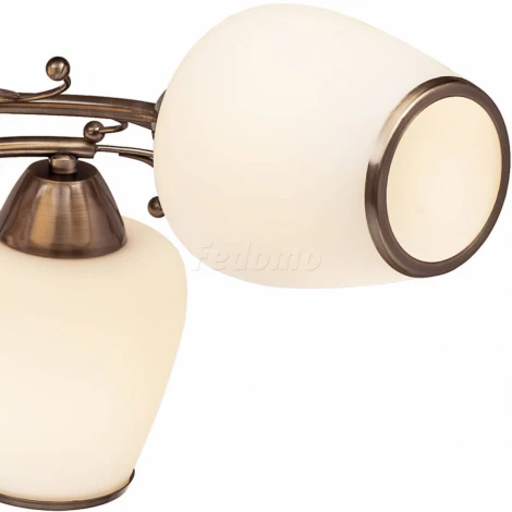 Потолочная люстра Silver Light Verbena 501.53.6