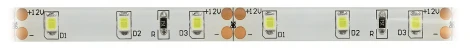 Светодиодная лента холодный белый 12V 5м ЭРА LS2835-60LED-IP65-W-eco-5m