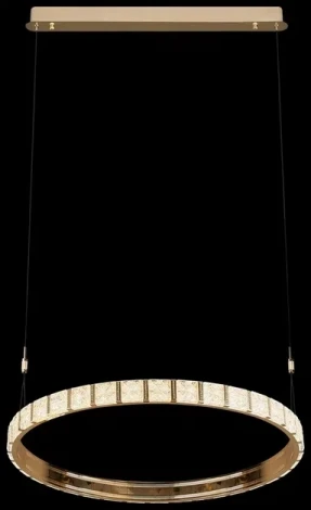 Светильник подвесной светодиодный Vera WE458.01.343 Wertmark (220V, пульт управления, на тросе, кольцо)