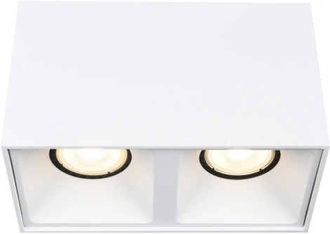 Светильник потолочный ST Luce ST168.502.02 Белый GU10 2*50W IP20 220V