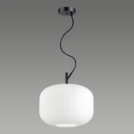 Подвесной светильник Odeon Light Roofi 4754/1 (220V, на тросе)