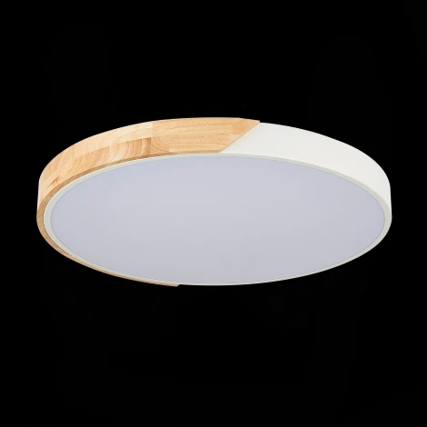 Потолочный светильник Evoluce Festa SLE200952-01