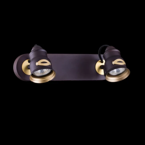 Спот Maytoni Borgo SP315-CW-02-BR