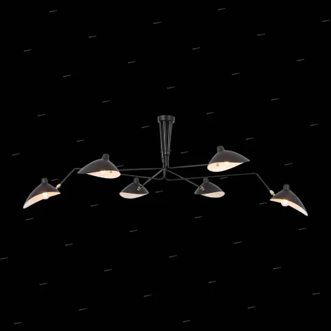 Потолочная люстра ST Luce Spruzzo SL305.402.06 (220V)