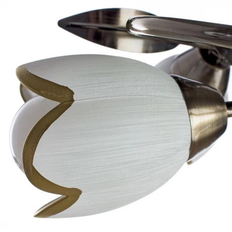 Потолочная люстра Arte Lamp Perce A6061PL-4AB