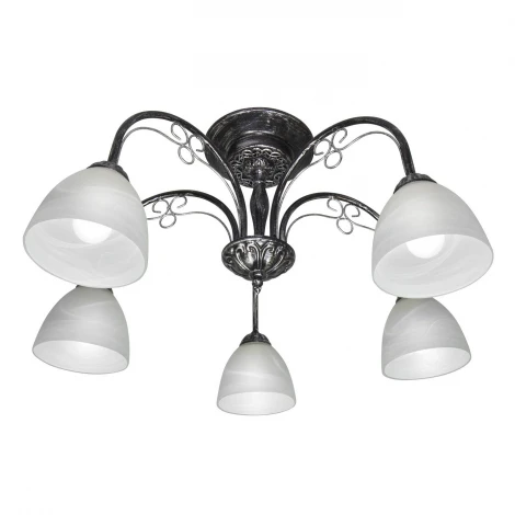 Потолочная люстра Day&Night S9202-5