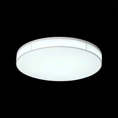Потолочный светильник ST Luce Fella SL417.512.01