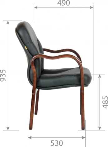 Компьютерное кресло CHAIRMAN 658 (Дерево,Экокожа/Черный)