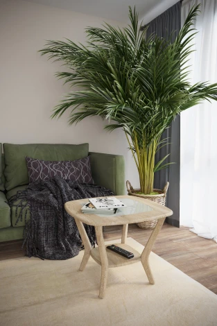 Стол журнальный Мельбурн со стеклом дуб сонома/дуб сонома от фабрики Mebelik