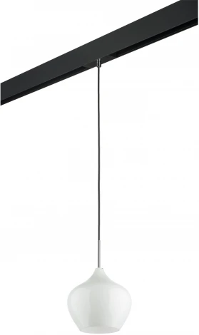 Трековый светильник однофазный 220V Lightstar Pentola PRO803040