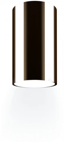 Накладной светильник Ritter Arton 59953 1