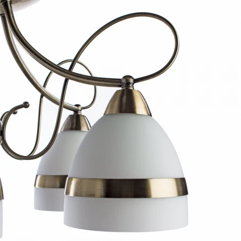 Потолочная люстра Arte Lamp Noemi A6192PL-5AB