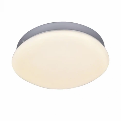 Потолочный светильник F-Promo Ledante 2467-1C