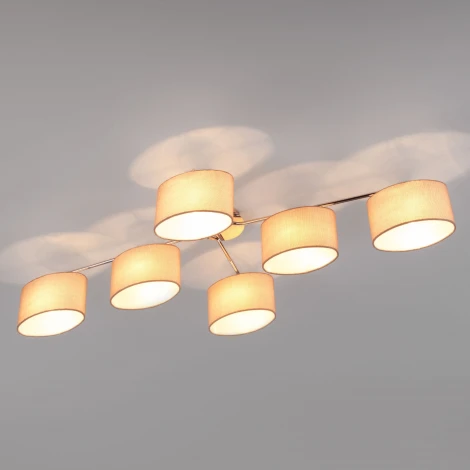 Потолочная люстра Eurosvet Elipse 60083/6 хром