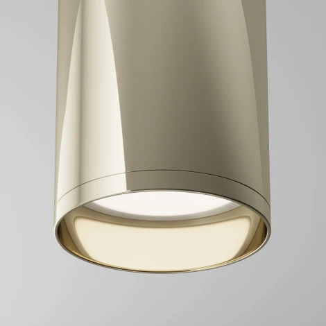 Накладной потолочный светильник Focus GU10 1x50Вт Maytoni Technical C010CL-01G (220V, круглые)