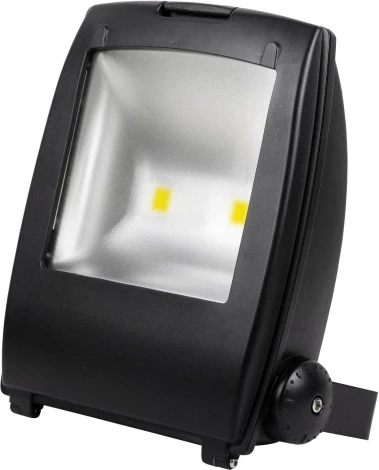 Прожектор уличный светодиодный Horoz, 1 плафон, черный с хромом и прозрачным