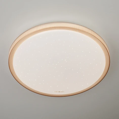 Потолочный светильник Eurosvet Sandy 40014/1 LED кофе 54W